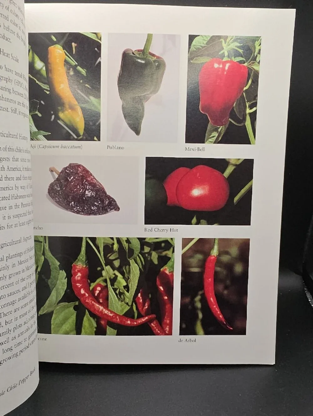 The Whole Chile Pepper Book — Cookbook in Red & Green, 373 Pages